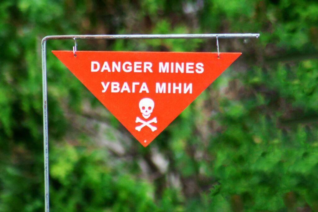 CCW Commentary: Call for Expressions of Interest